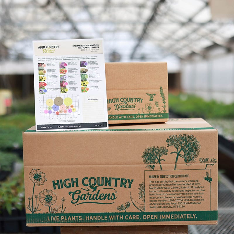 Habitat Hero Birdwatcher Pre-Planned Garden - Image 3