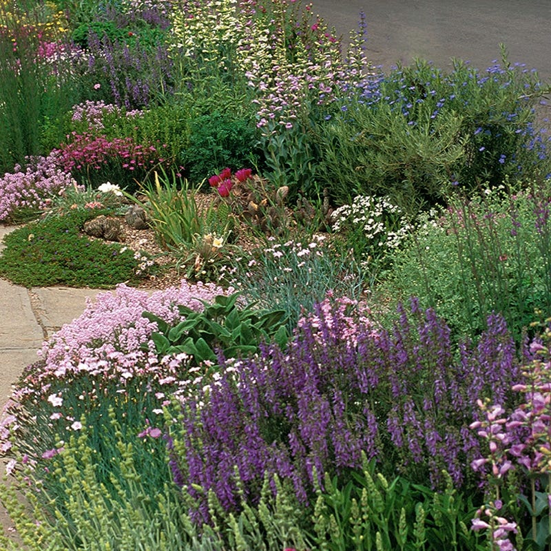Large Soft Colors Inferno Strip Pre-Planned Garden
